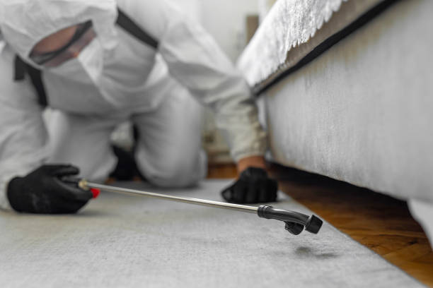 Professional Bed Bug Control technician working in Pleasant Gap, PA